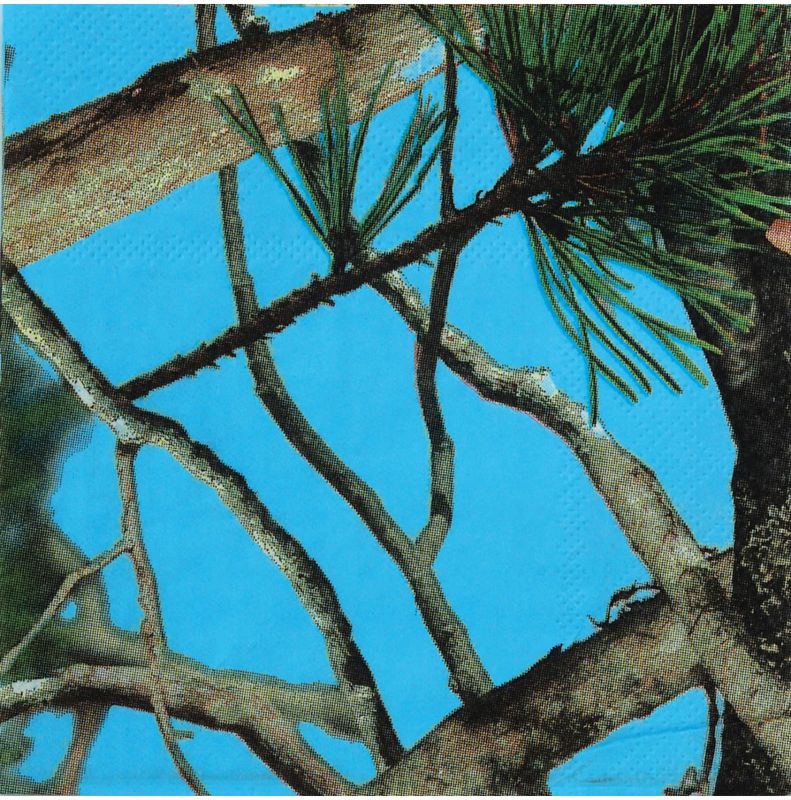 Next Camo Blue Beverage Napkins - 16 Count