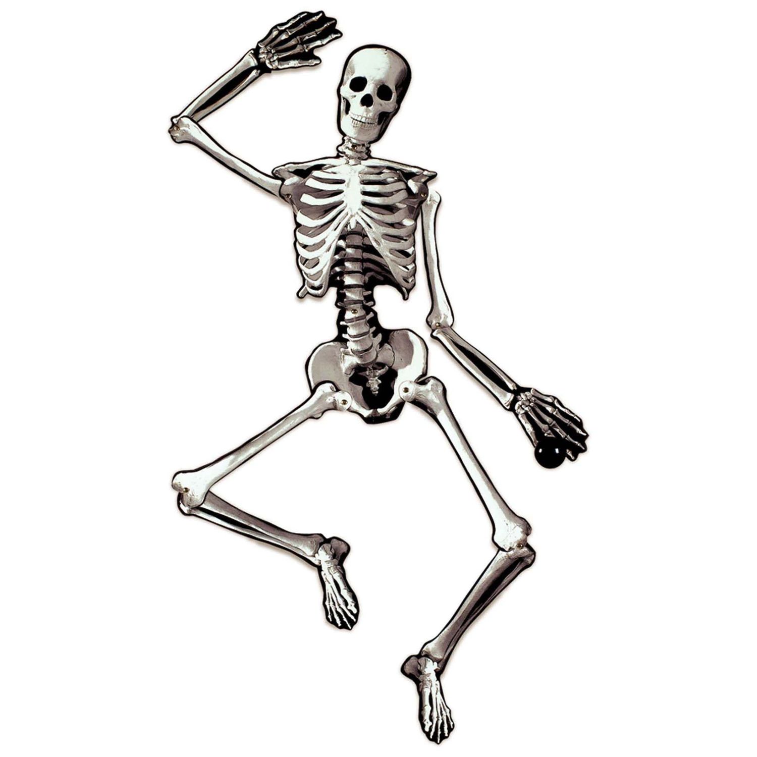 4FT JOINTED C/O SKELETON