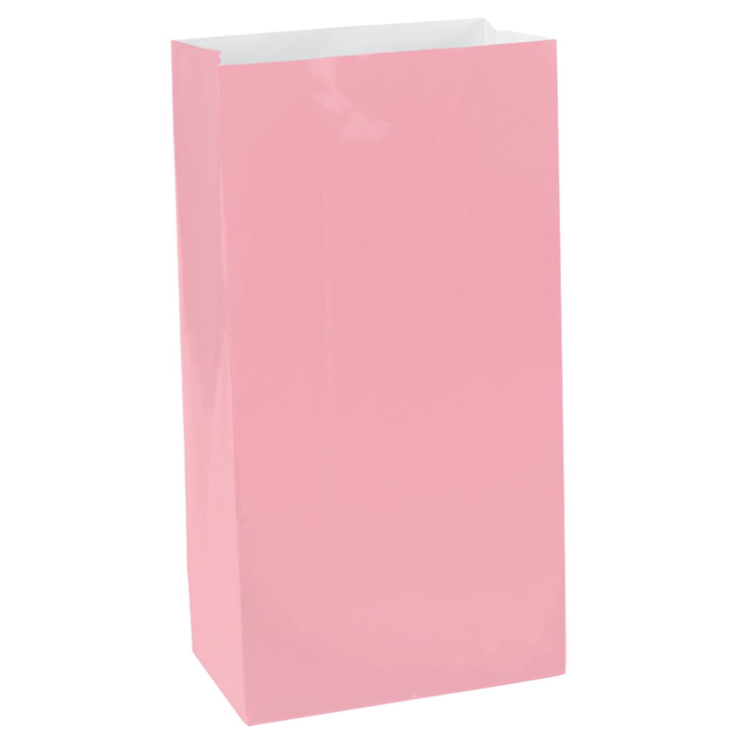 Large Packaged Paper Bag - New Pink