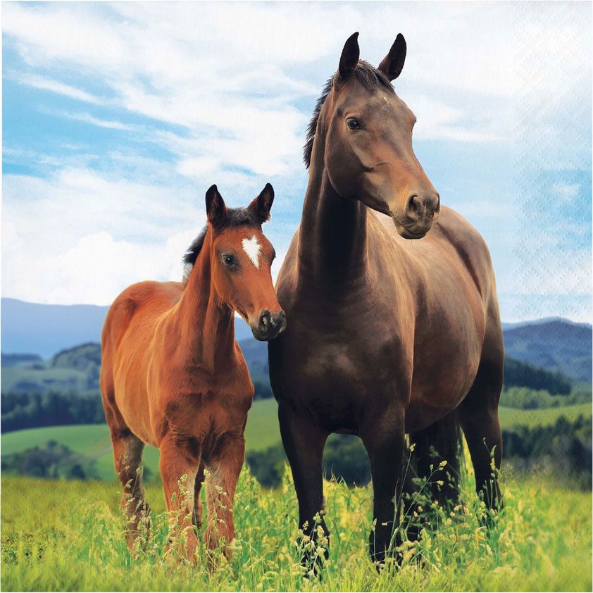 16CT LUN HORSE AND PONY