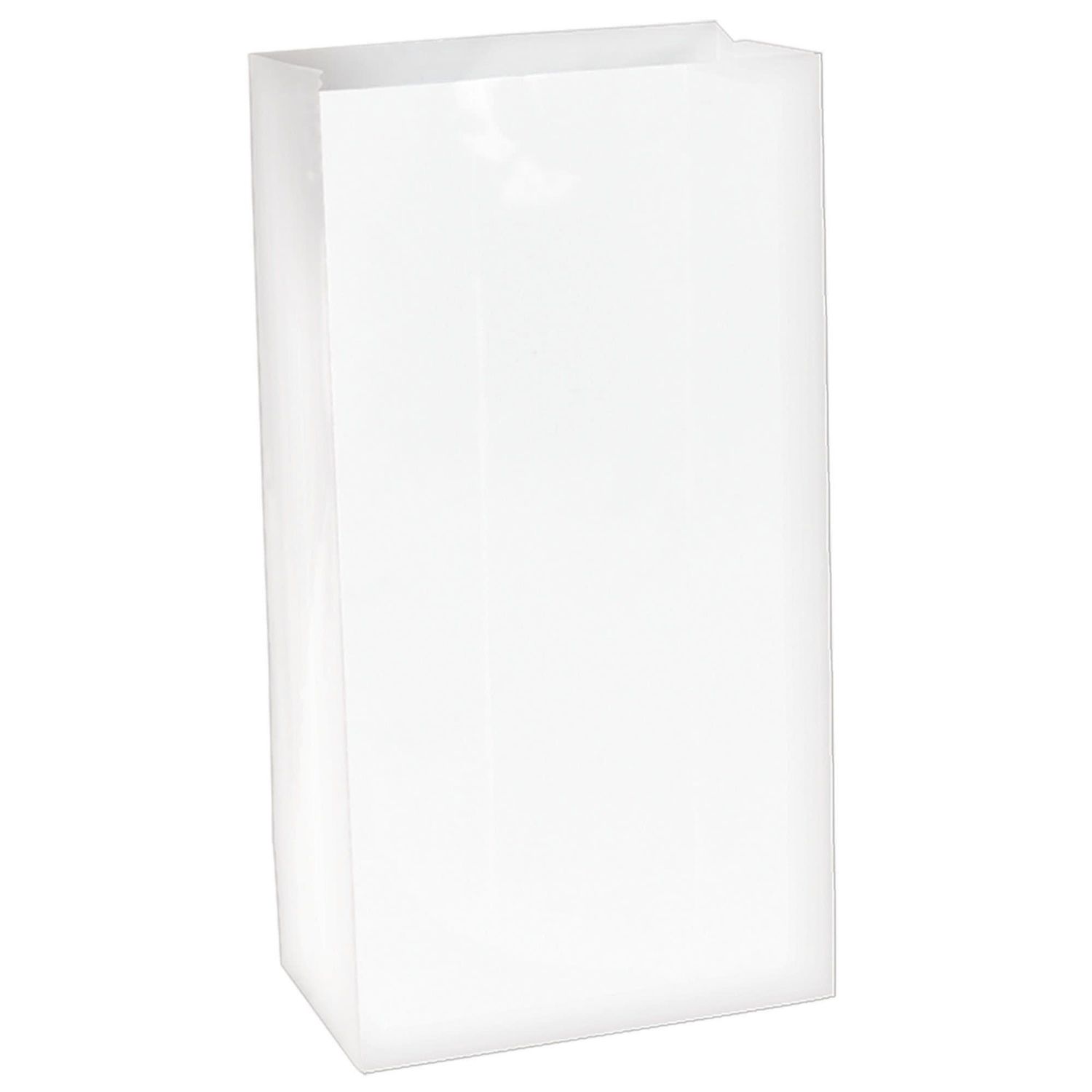 White Packaged Paper Bags