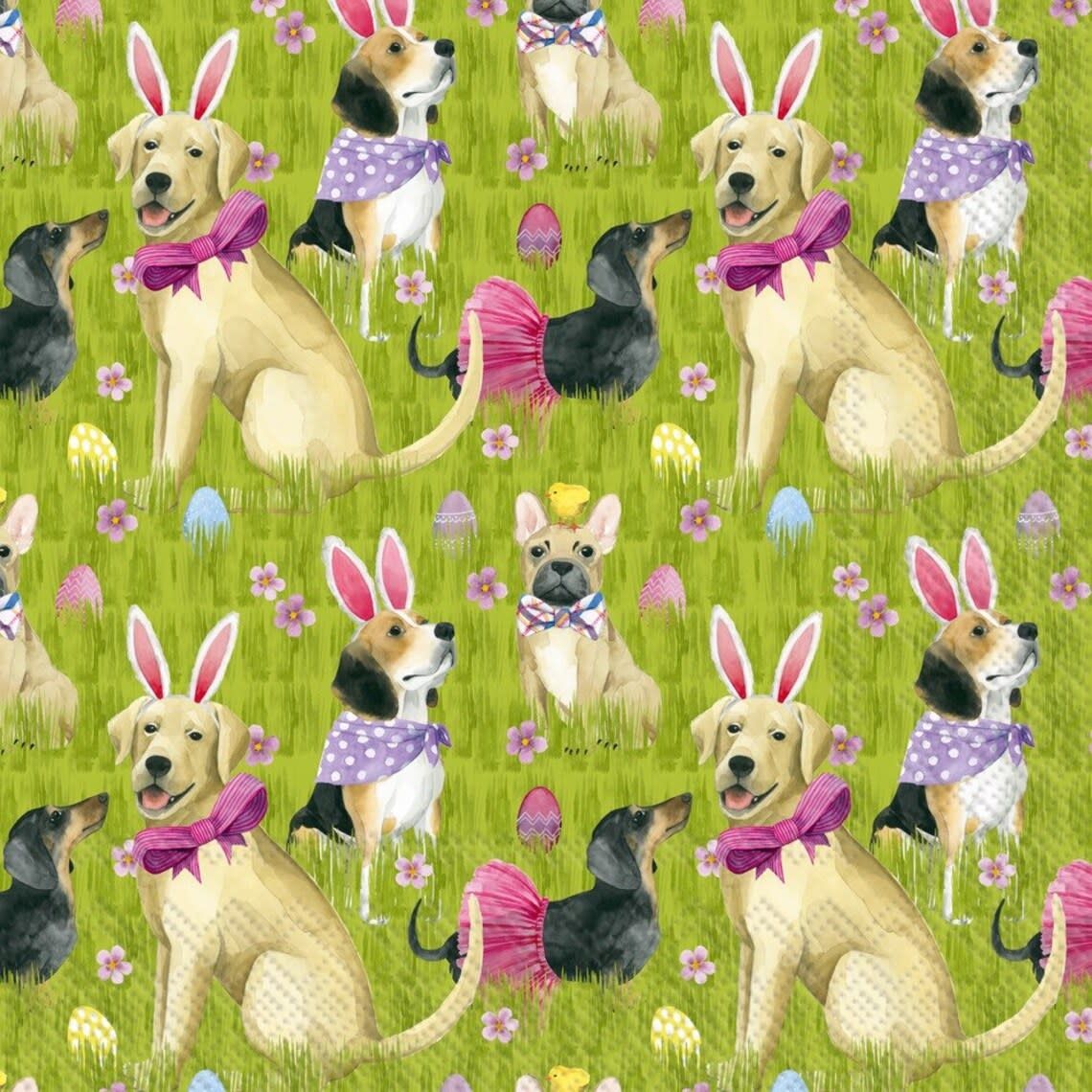 16CT LUN BUNNY DOGS