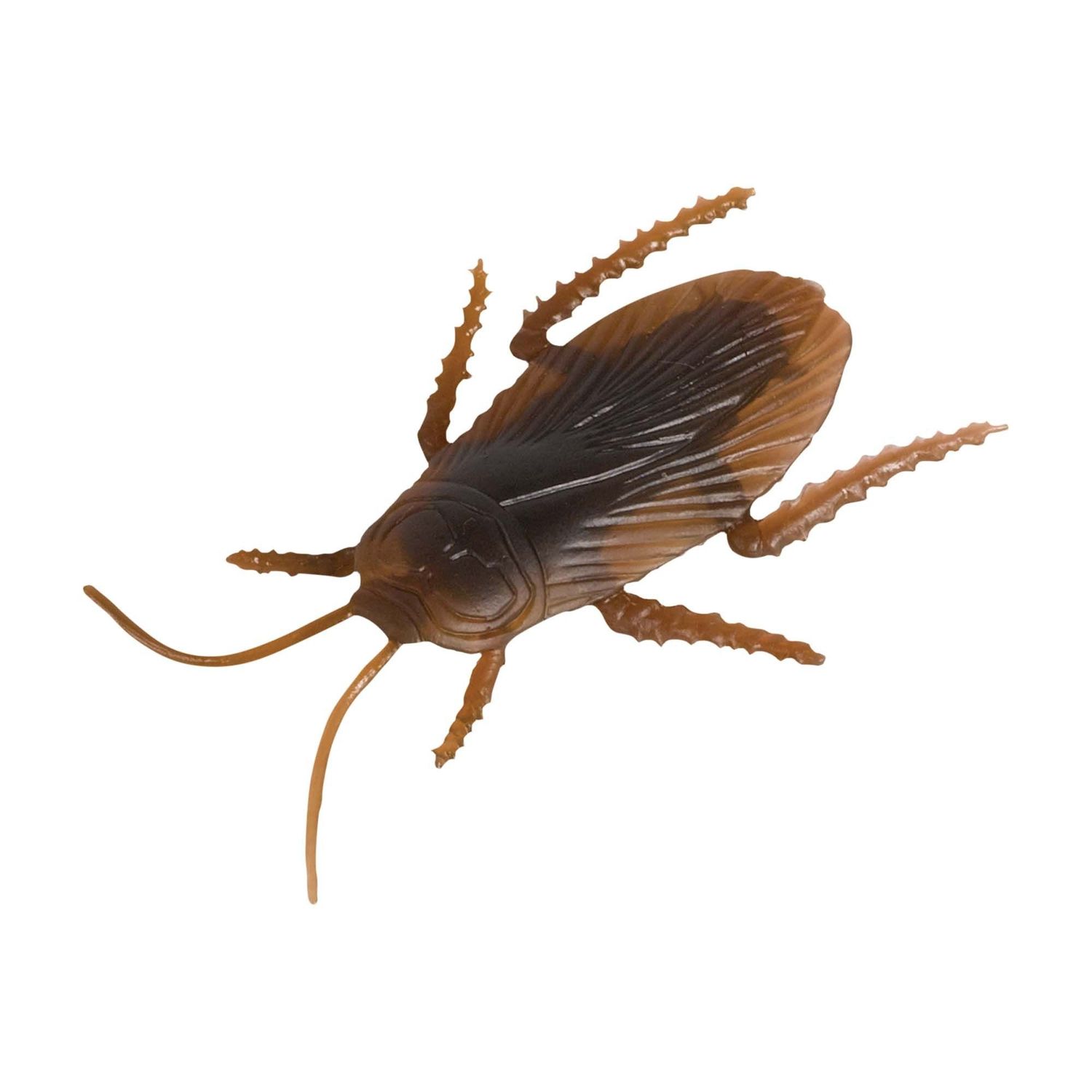 Cockroach Multi-pack