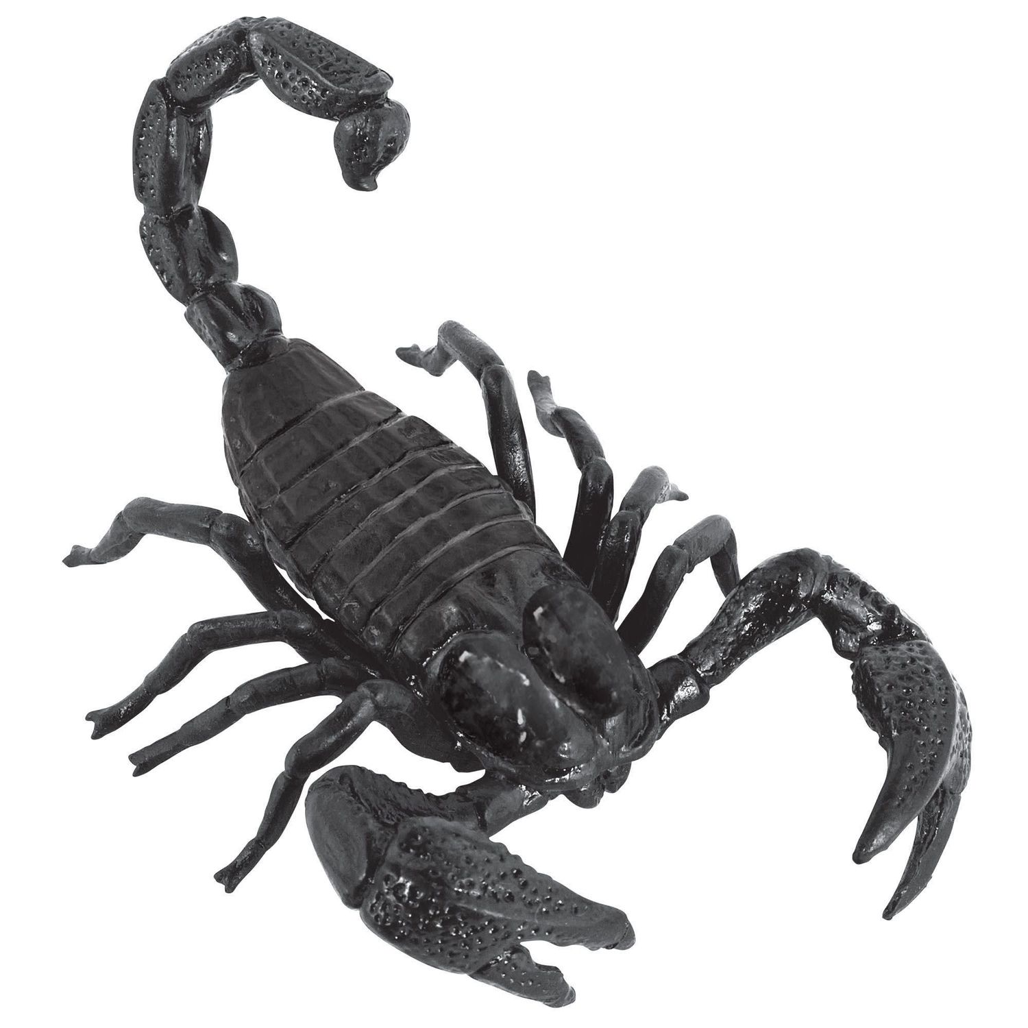 Giant Scorpion