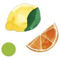 36CT TABLE SCATTER CITRUS FRUIT