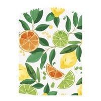 6CT BAGS CITRUS FRUIT