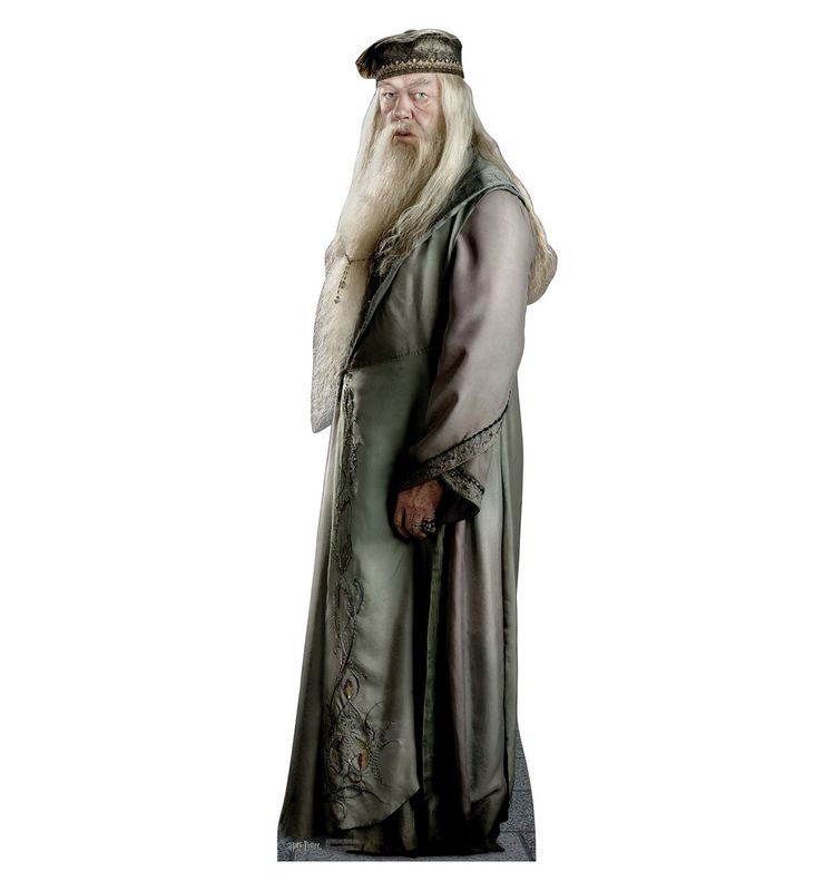 STAND-UP PROFESSOR DUMBLEDORE