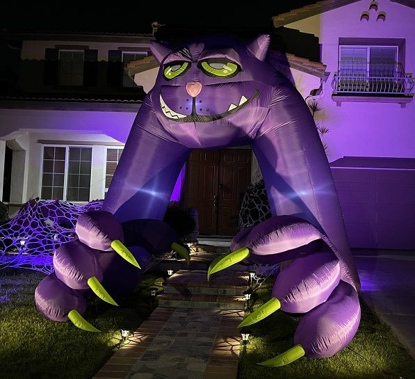 WHISKERS CAT ARCHWAY