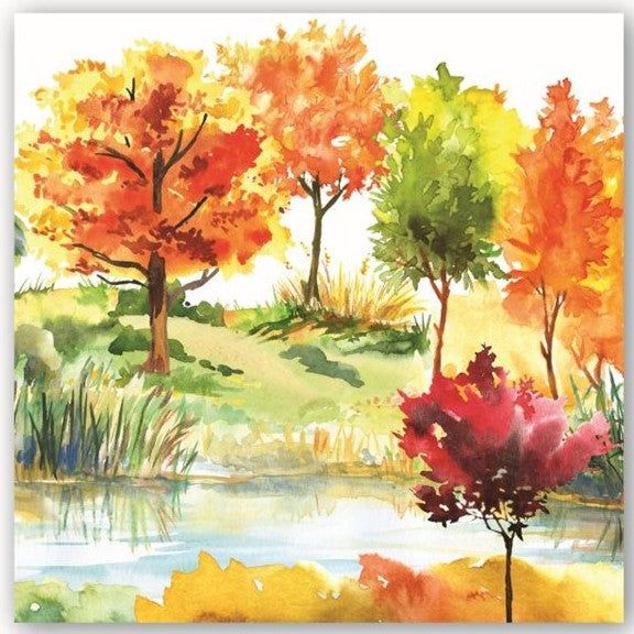 20CT LUN ORCHARD BREEZE