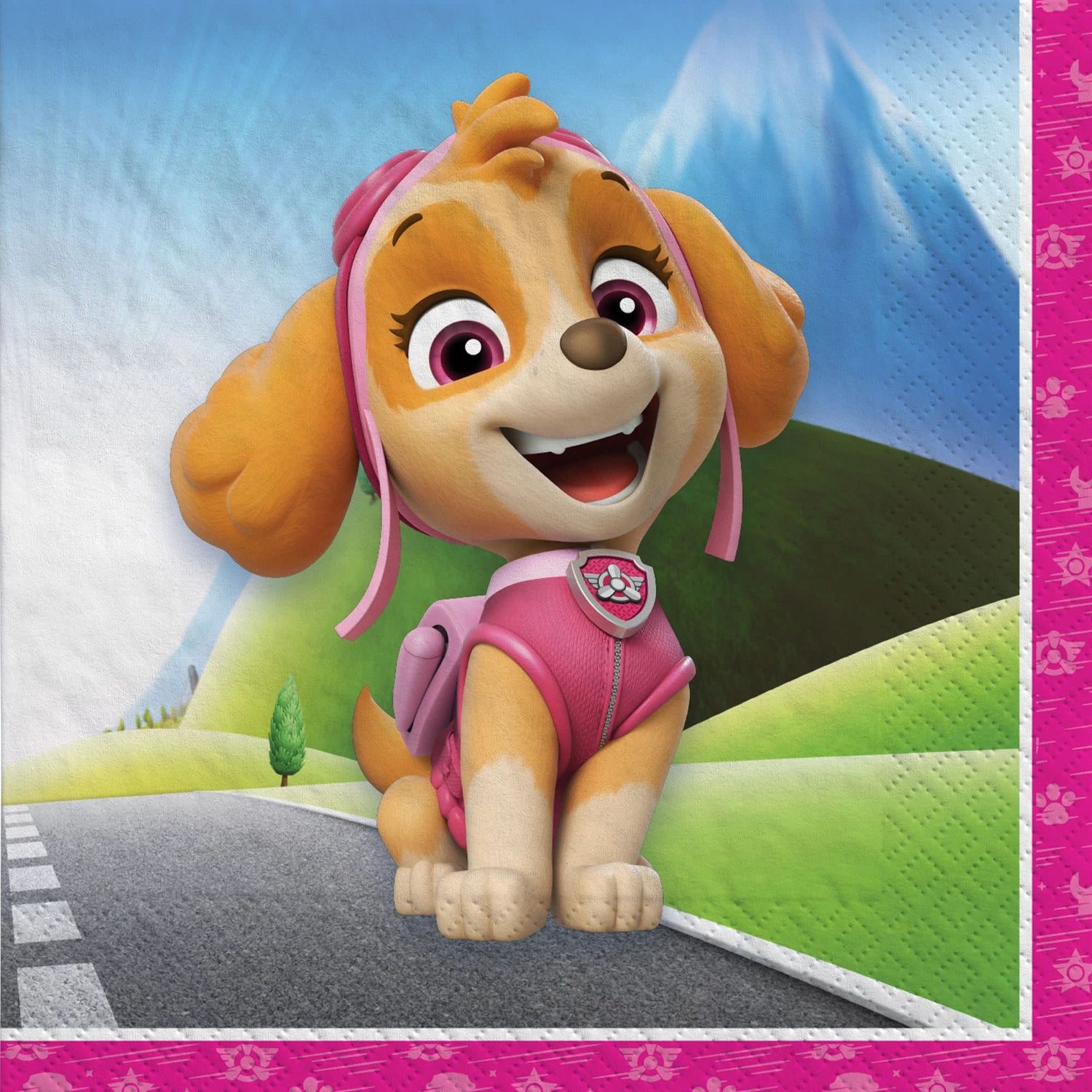 16CT BEV PAW PATROL-SKYE