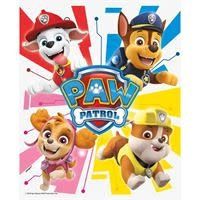 8CT BAGS PAW PATROL