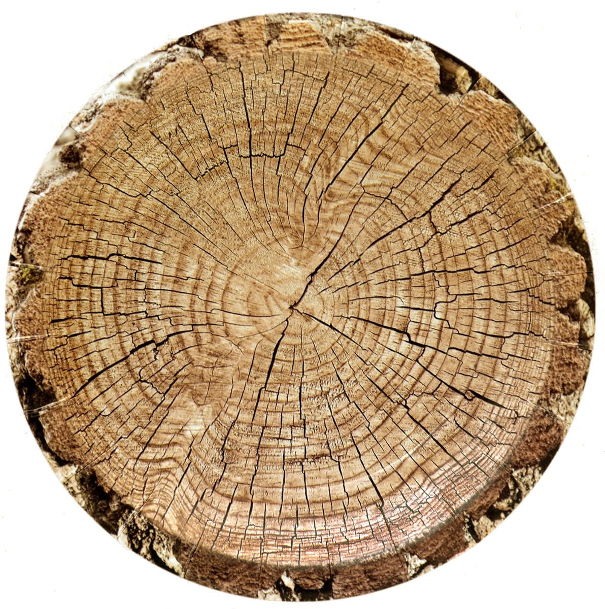 Cut Timber – Plates Round 7″ 8-pack