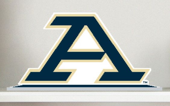 MASCOT STANDEE AKRON