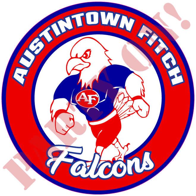 9.5in STICKER AUSTINTOWN FITCH FALCONS