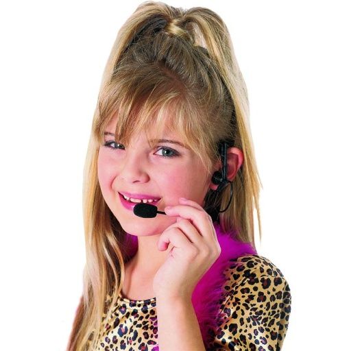 Rock Star Headset with Microphone