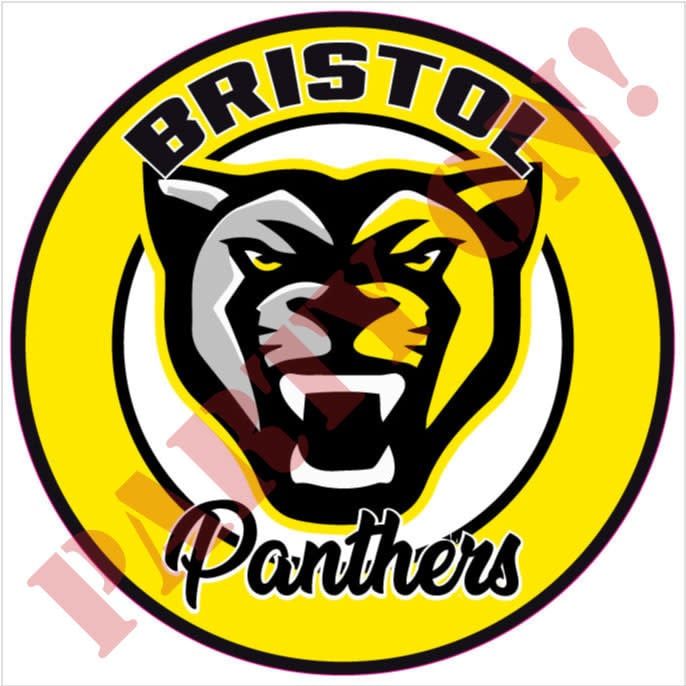 9.5in STICKER BRISTOL PANTHERS