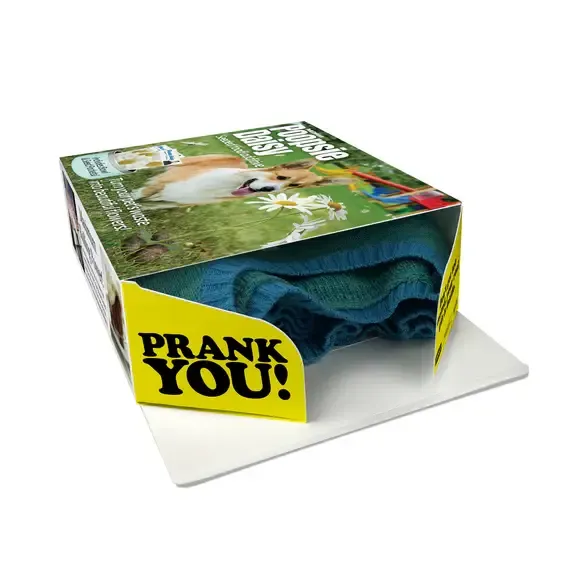 PRANK GIFT BOX POOPSIE DAISY