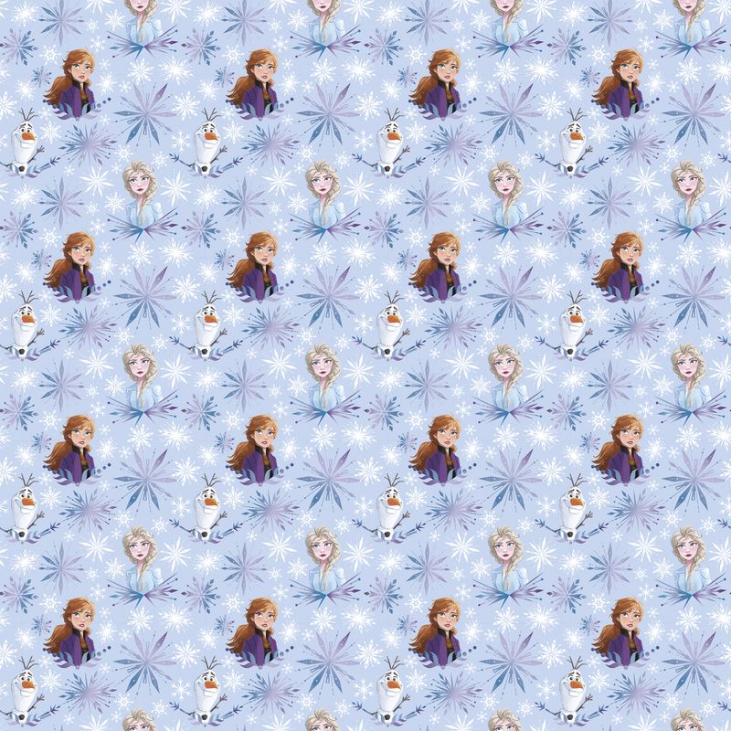 30inx 5FT FROZEN 2 GIFT WRAP