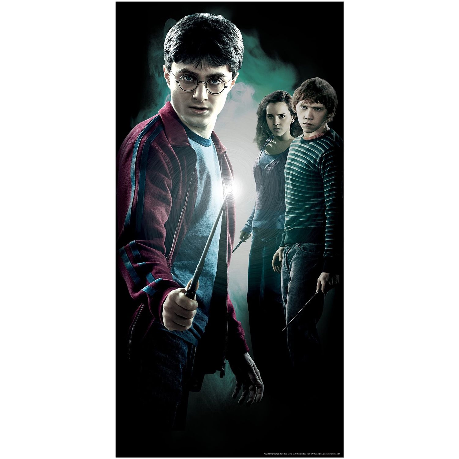 HARRY POTTER DOOR COVER