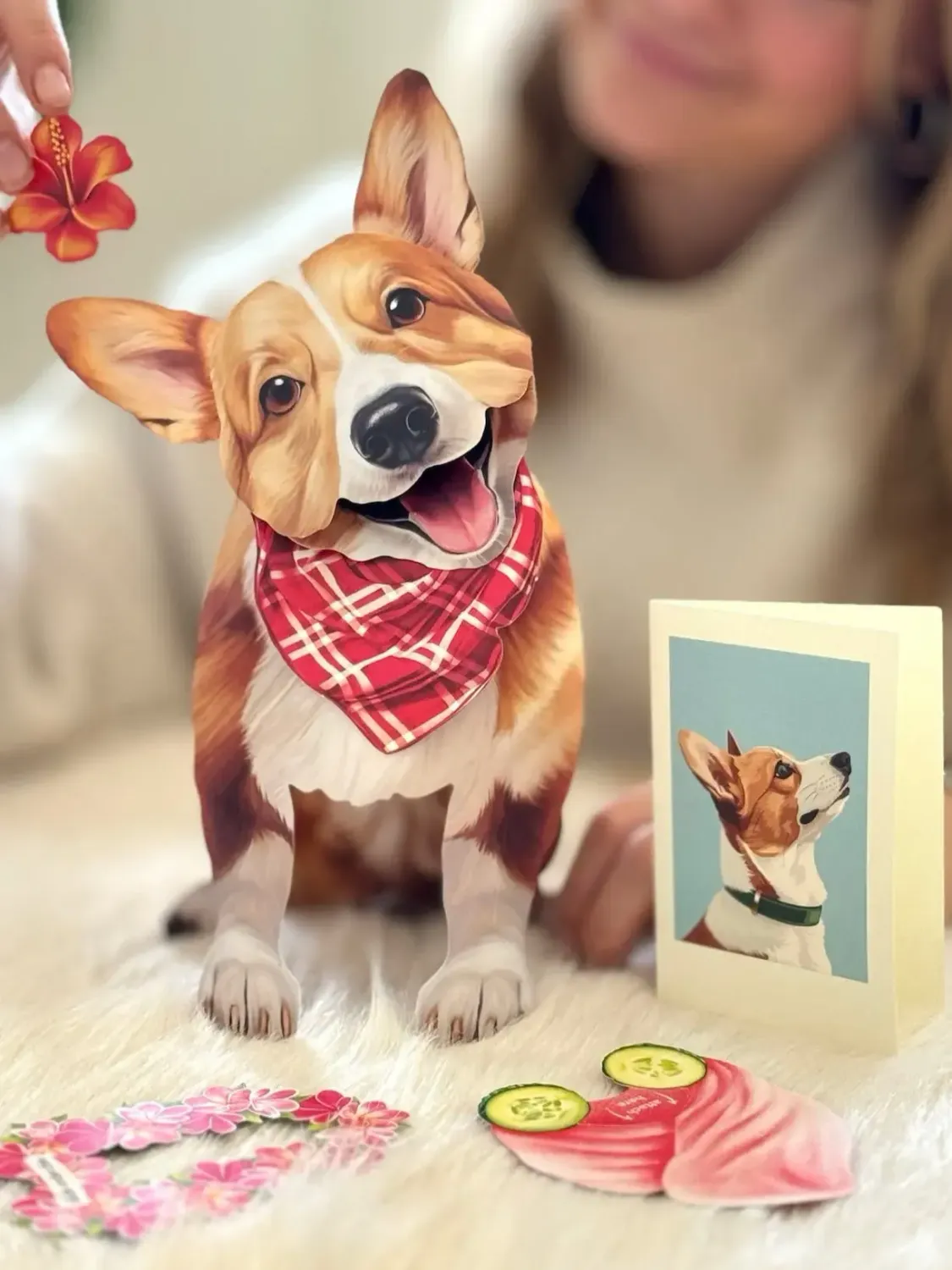 CORGI POP UP DOG