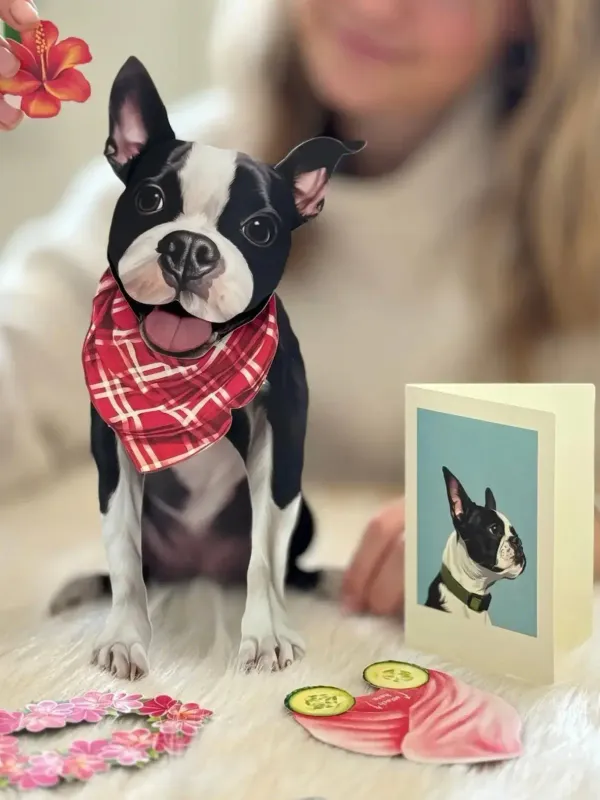 BOSTON TERRIER POP UP DOG