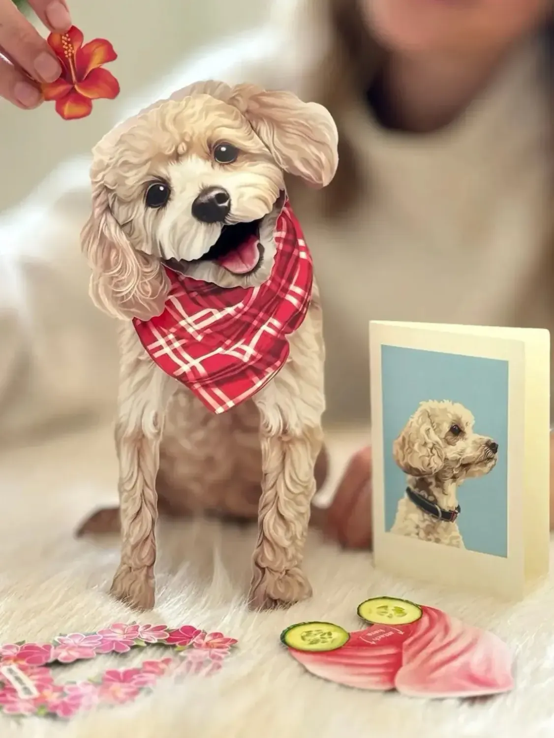 POODLE POP UP DOG