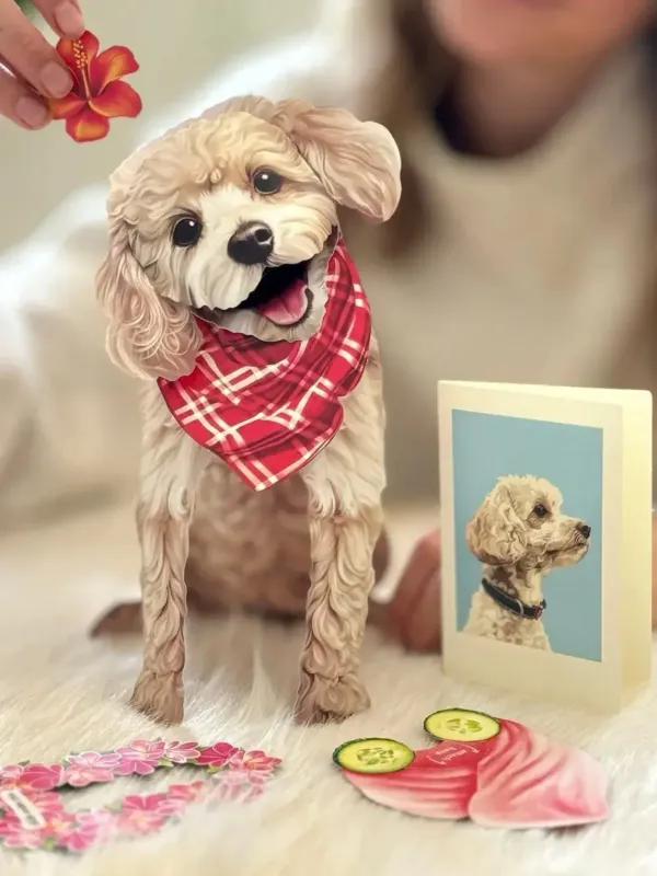 POODLE POP UP DOG