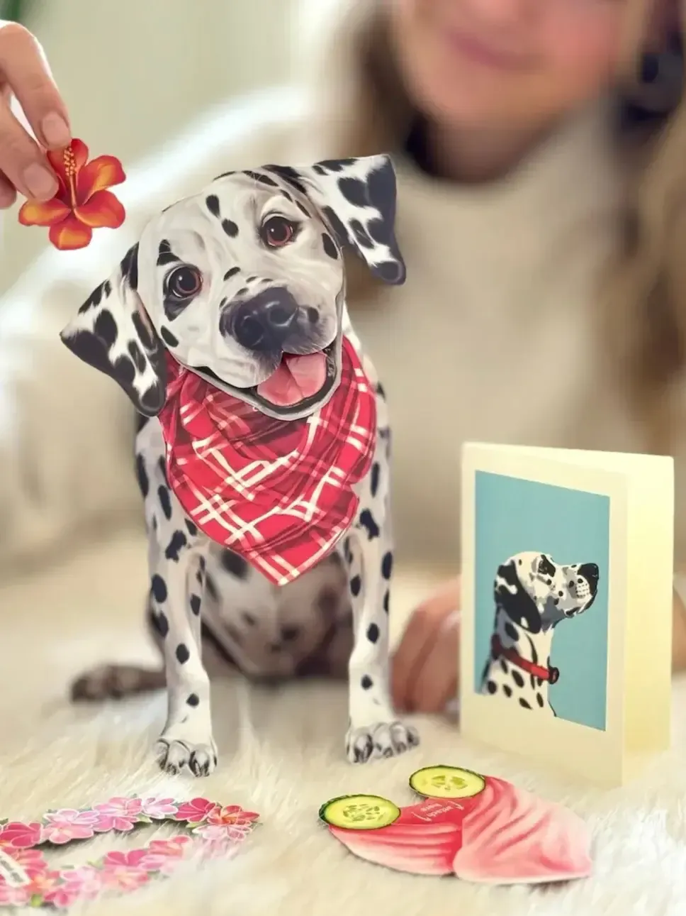 DALMATIAN POP UP DOG