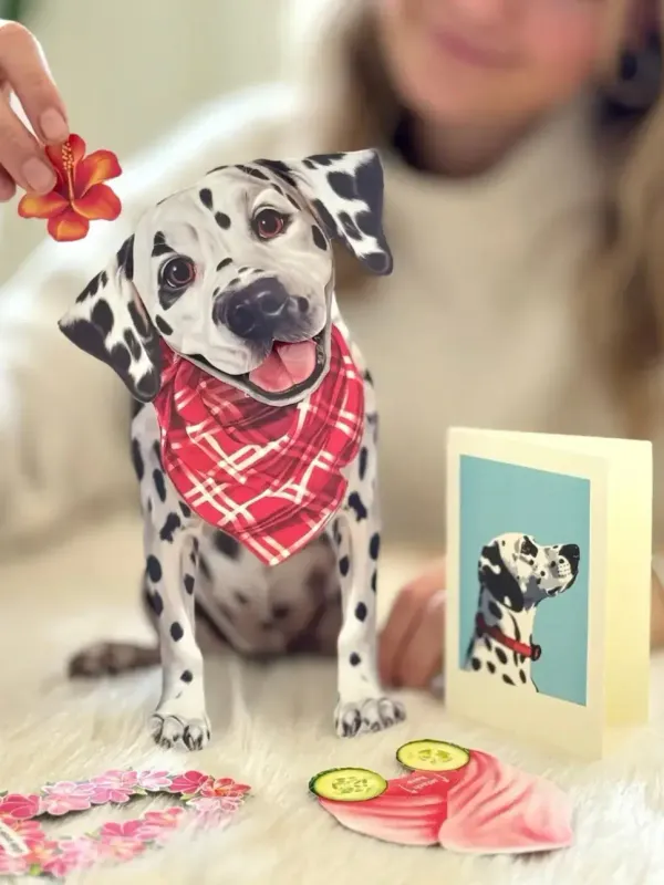 DALMATIAN POP UP DOG