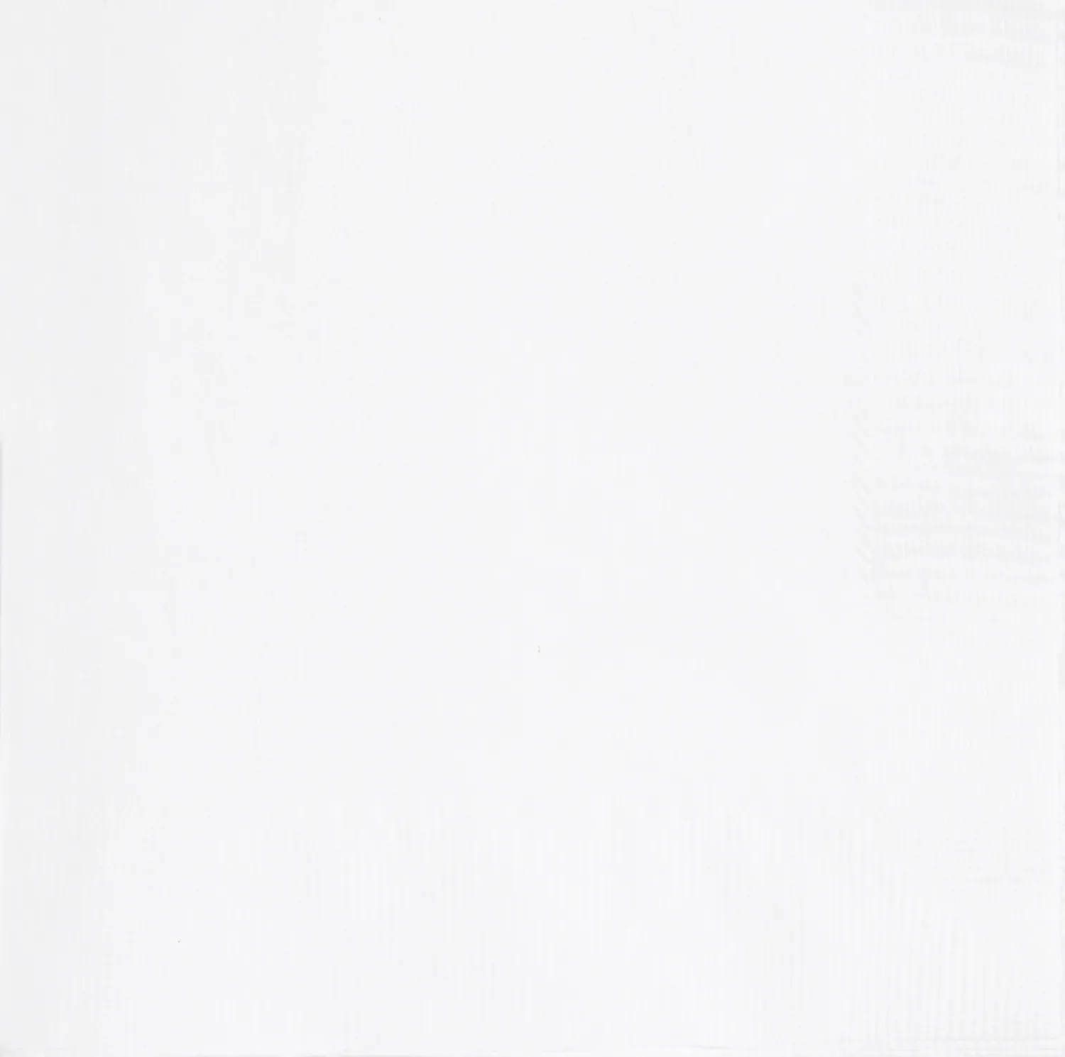 Bright White Lunch Napkins - 40ct