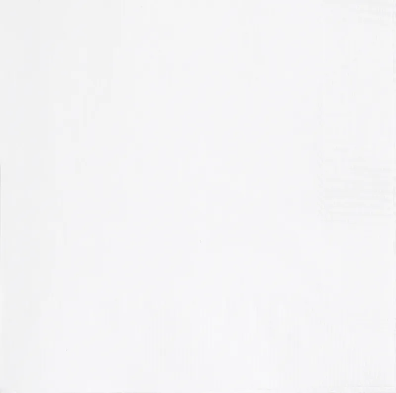 Bright White Lunch Napkins - 40ct