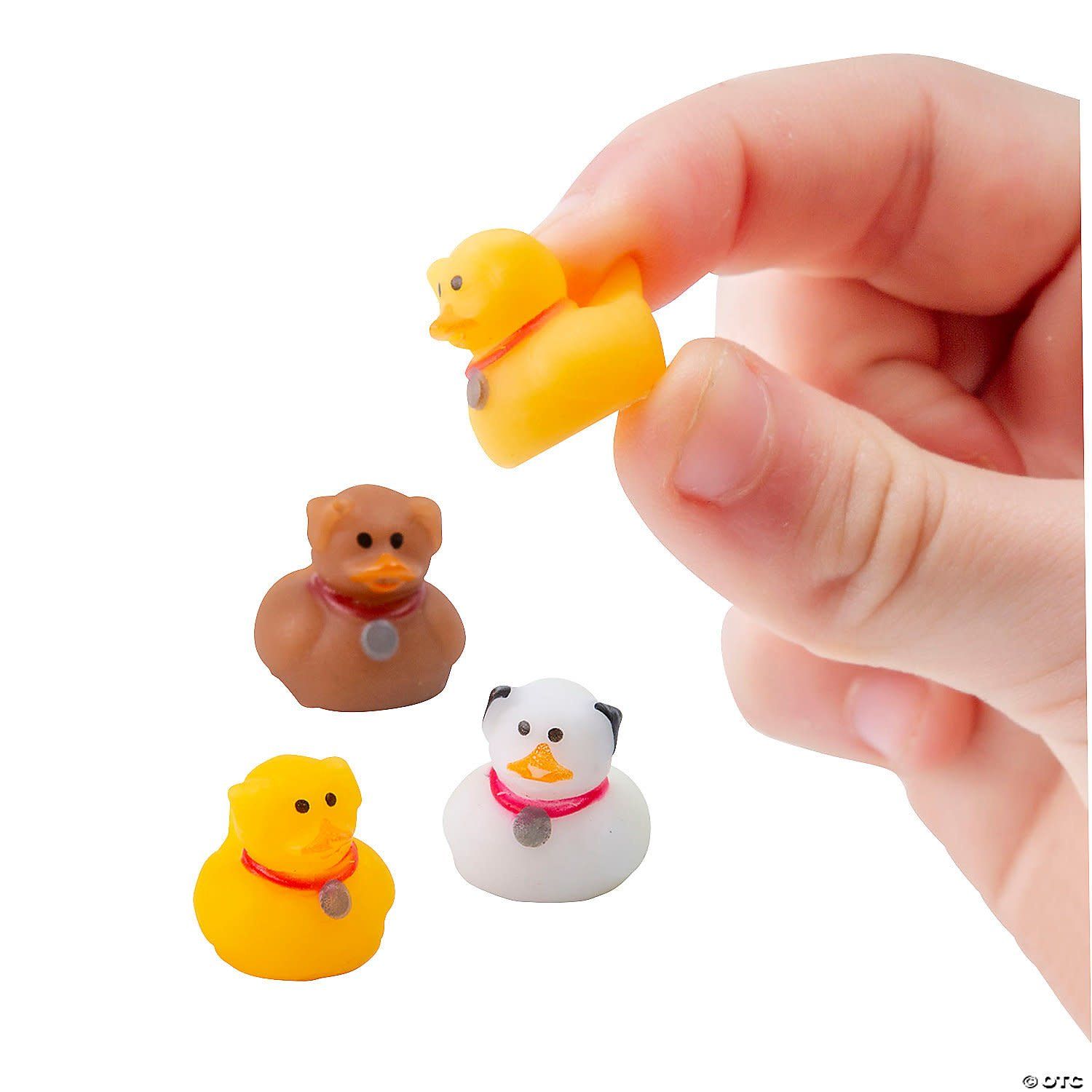 12CT MICRO DOG RUBBER DUCKS