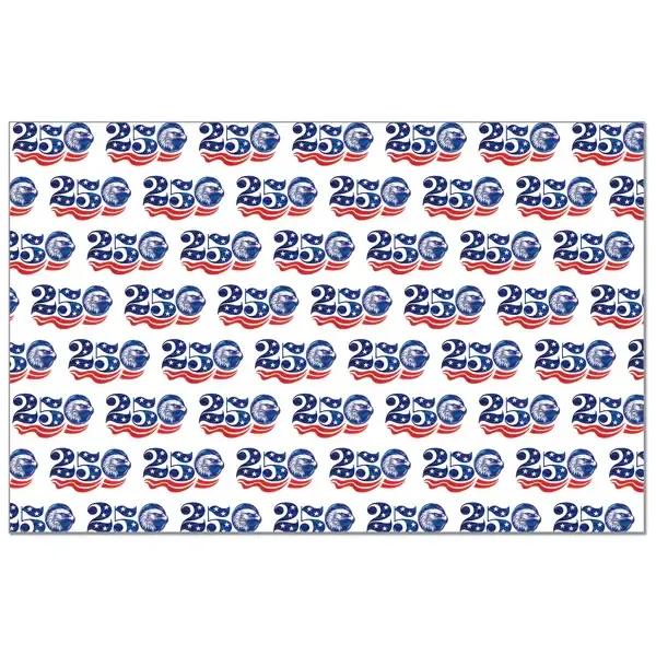 24CT PLACEMATS CELEBRATE 250