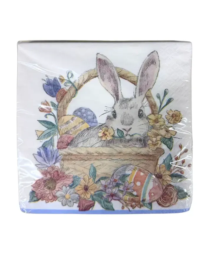 16CT LUN  BUNNY FRIENDS