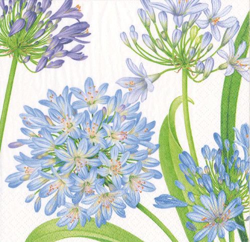 Agapanthus Garden Luncheon Napkins - 20 Count