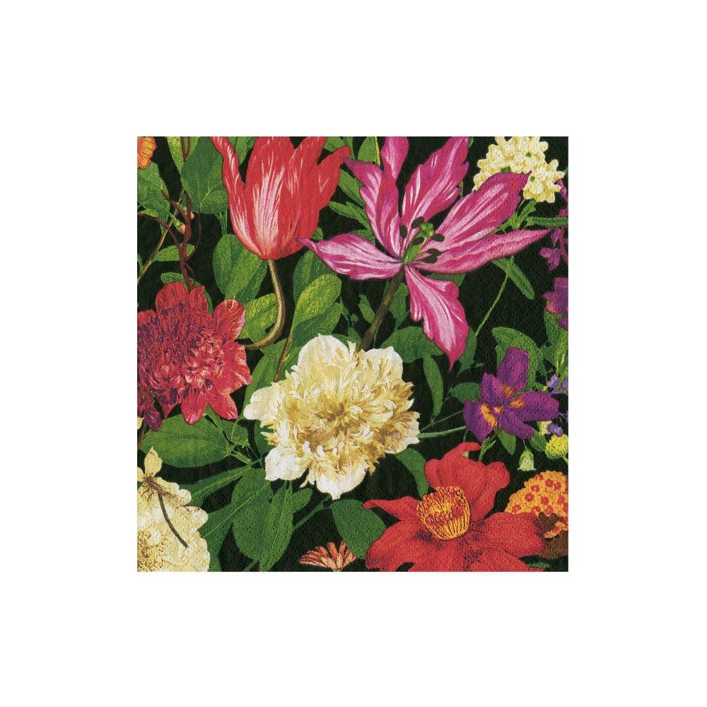 Dutch Floral Black Cocktail Napkins - 20 Count