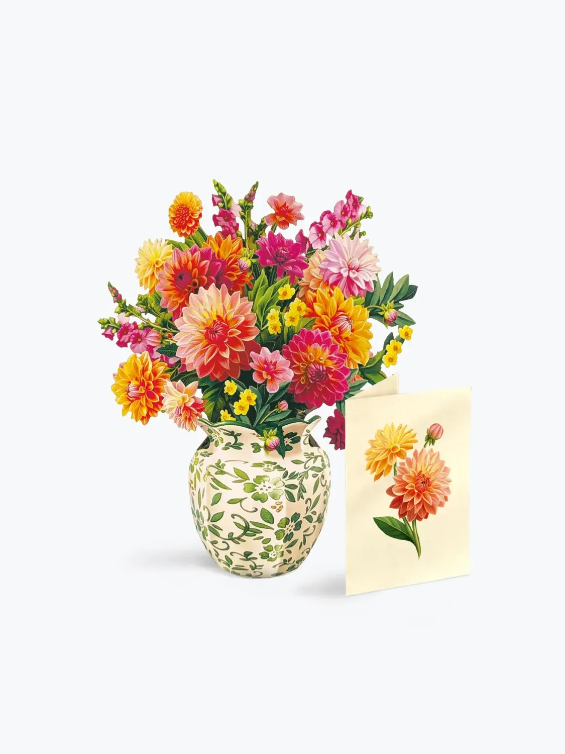 MINI DAHLIA SUNRISE FRESHCUT GREETING CARD