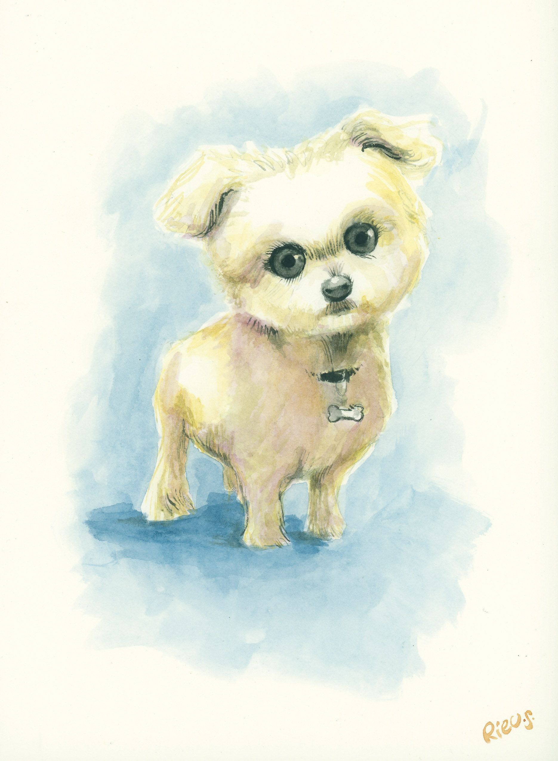 Digital caricature — watercolor detail