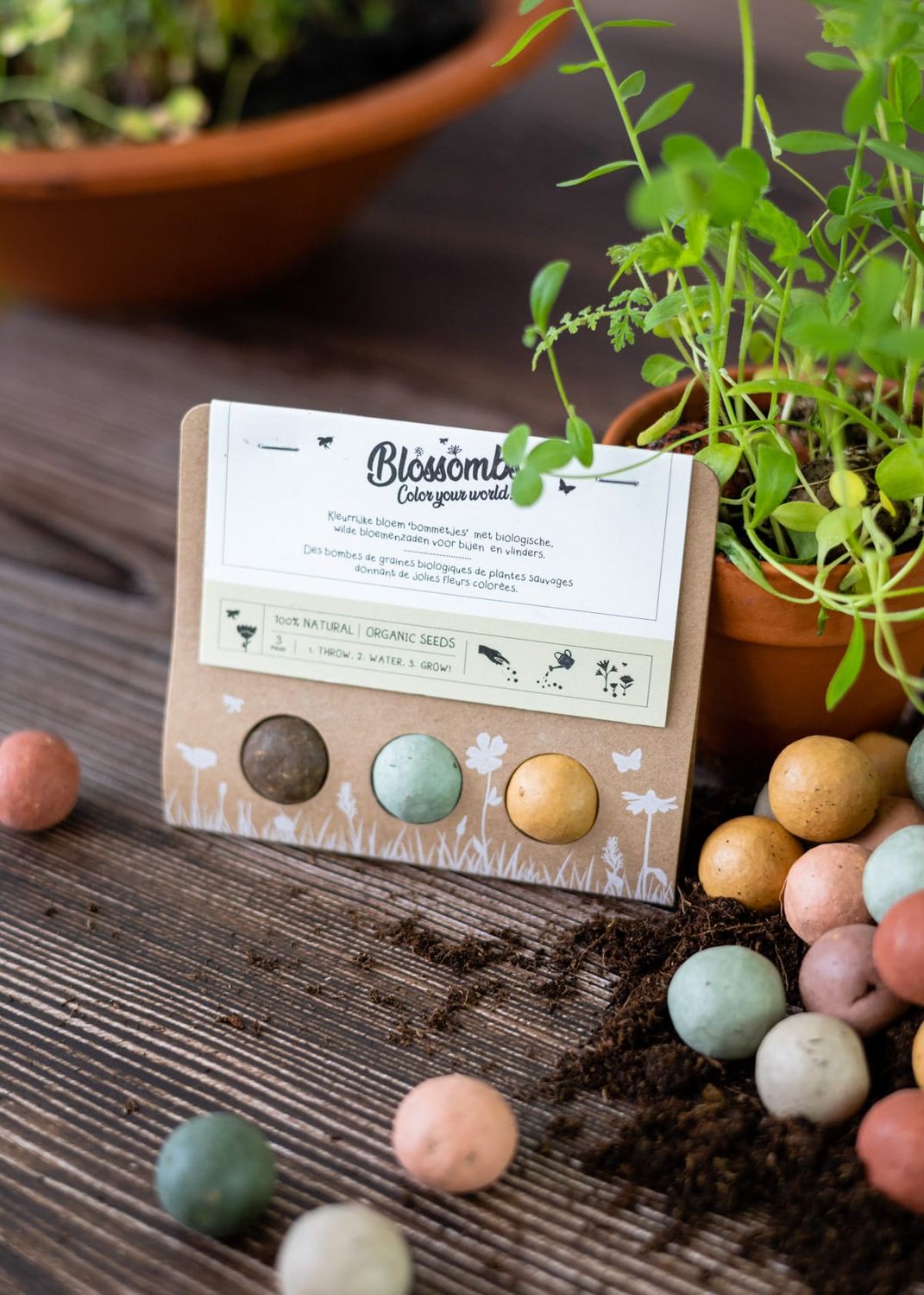 Blossom boms, 3 stuks (bloemzaden)