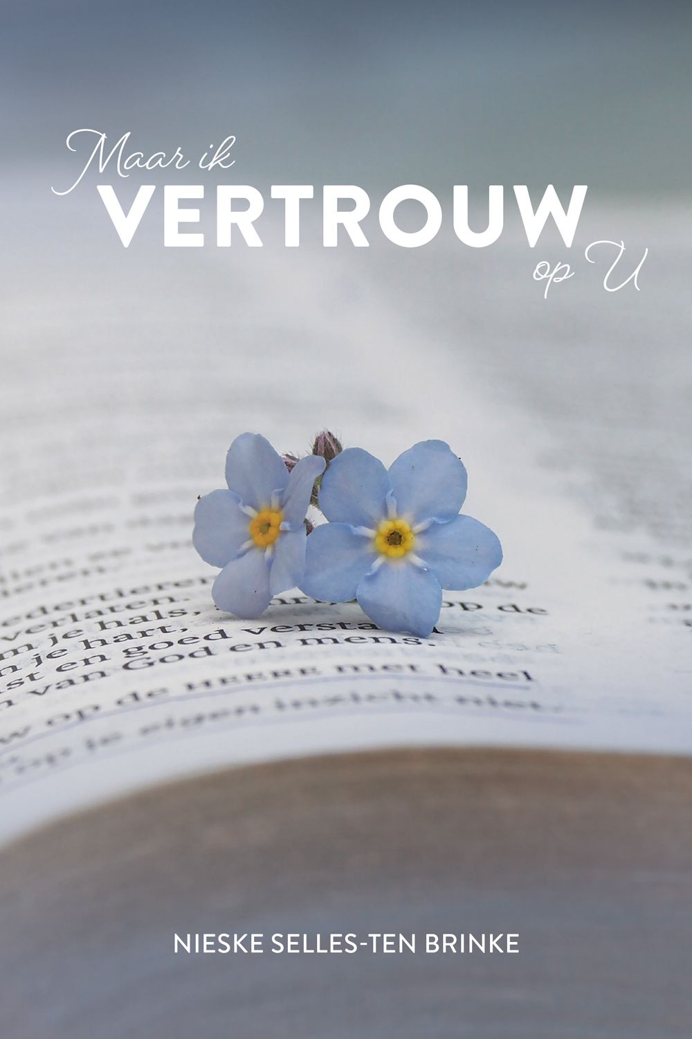 Maar ik vertrouw op U