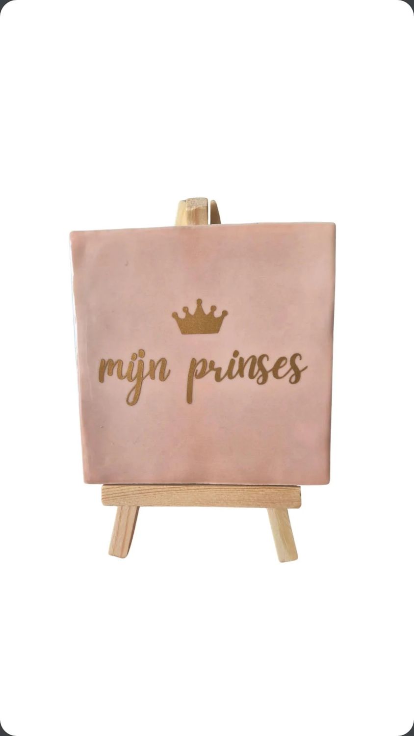 Tegeltje 'Mijn prinses'