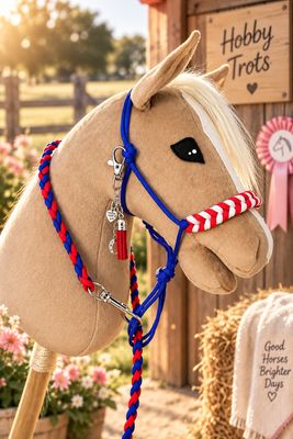 Race Day Halter