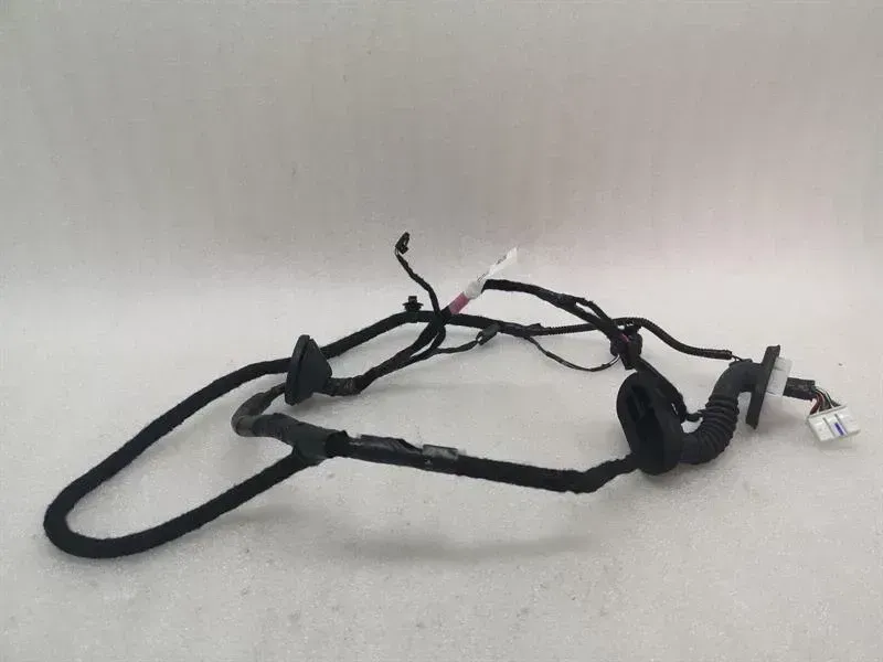 Tesla Model 3 Long Range RLH Door Wiring 2067965-00-B Rear L Door Harness