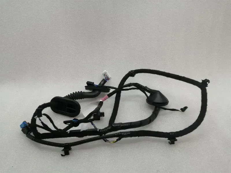 Tesla Model 3 RRH Door Wiring Loom 2067966-00-B Rear Right Door Harness