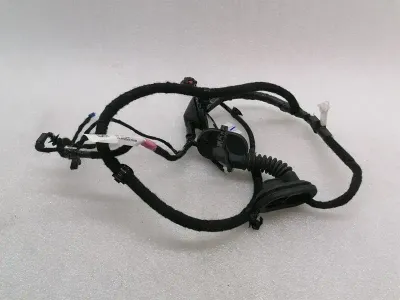 Tesla Model 3 RRH Door Wiring Loom 2067966-00-B Rear Right Door Harness