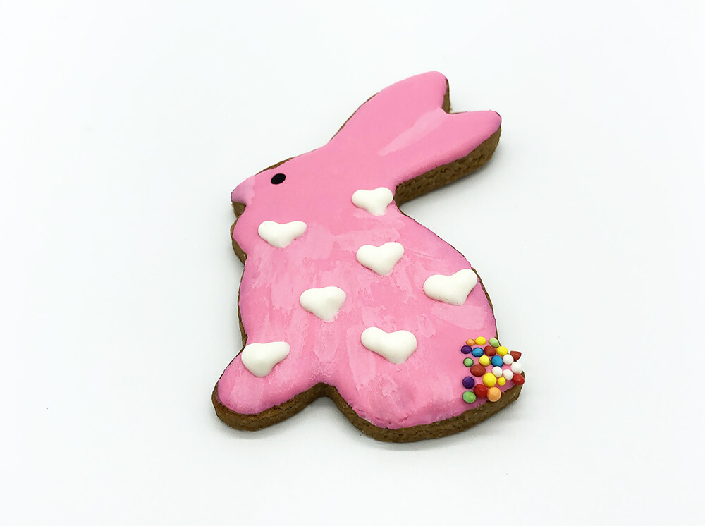 Pink Bunny Pink Bunny