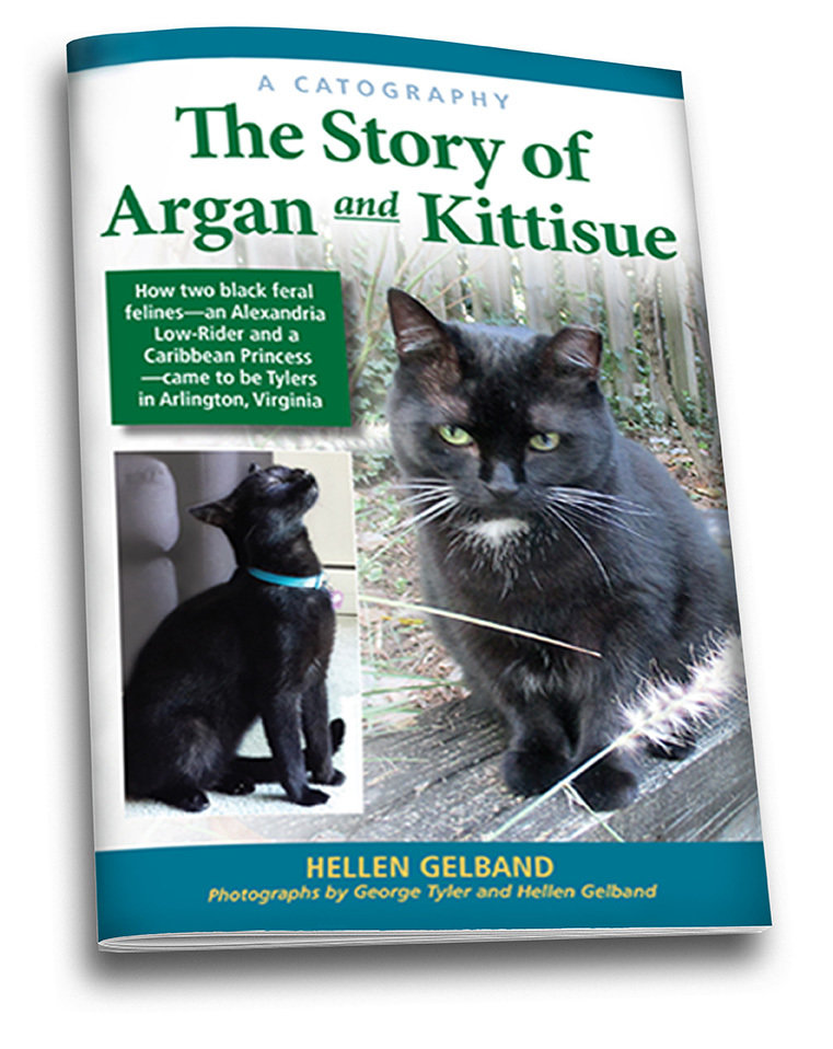 A Catography: The Story of Argan and Kittisue