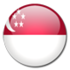 Singapore : Tourist/Visit Visa