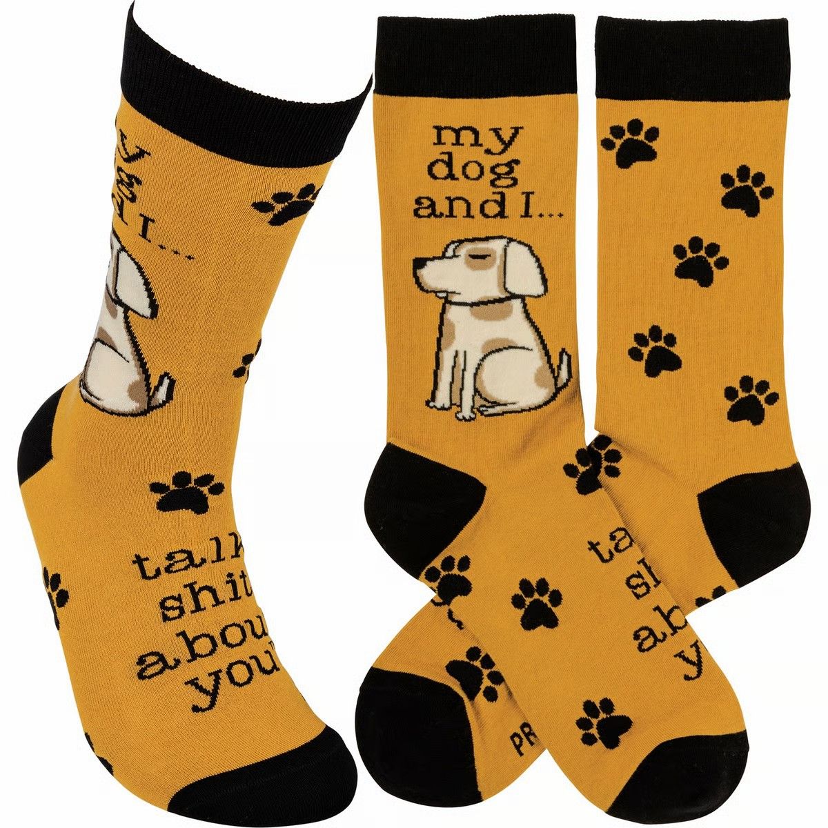 Socks-My Dog and I