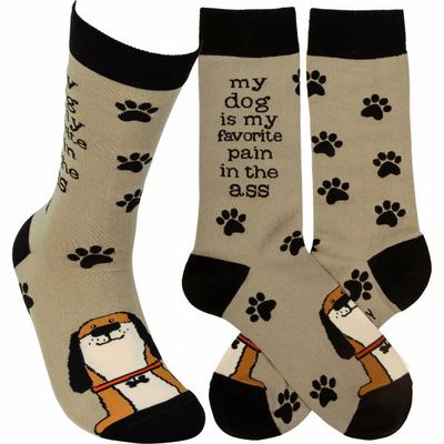 Socks-My dog is my Favorite Pain